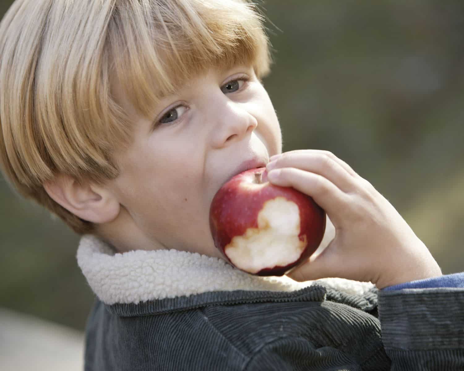 A importância da forma que mastigamos, criança comendo maça.